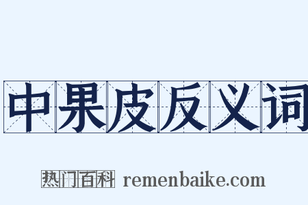 中果皮反义词是什么意思的图片